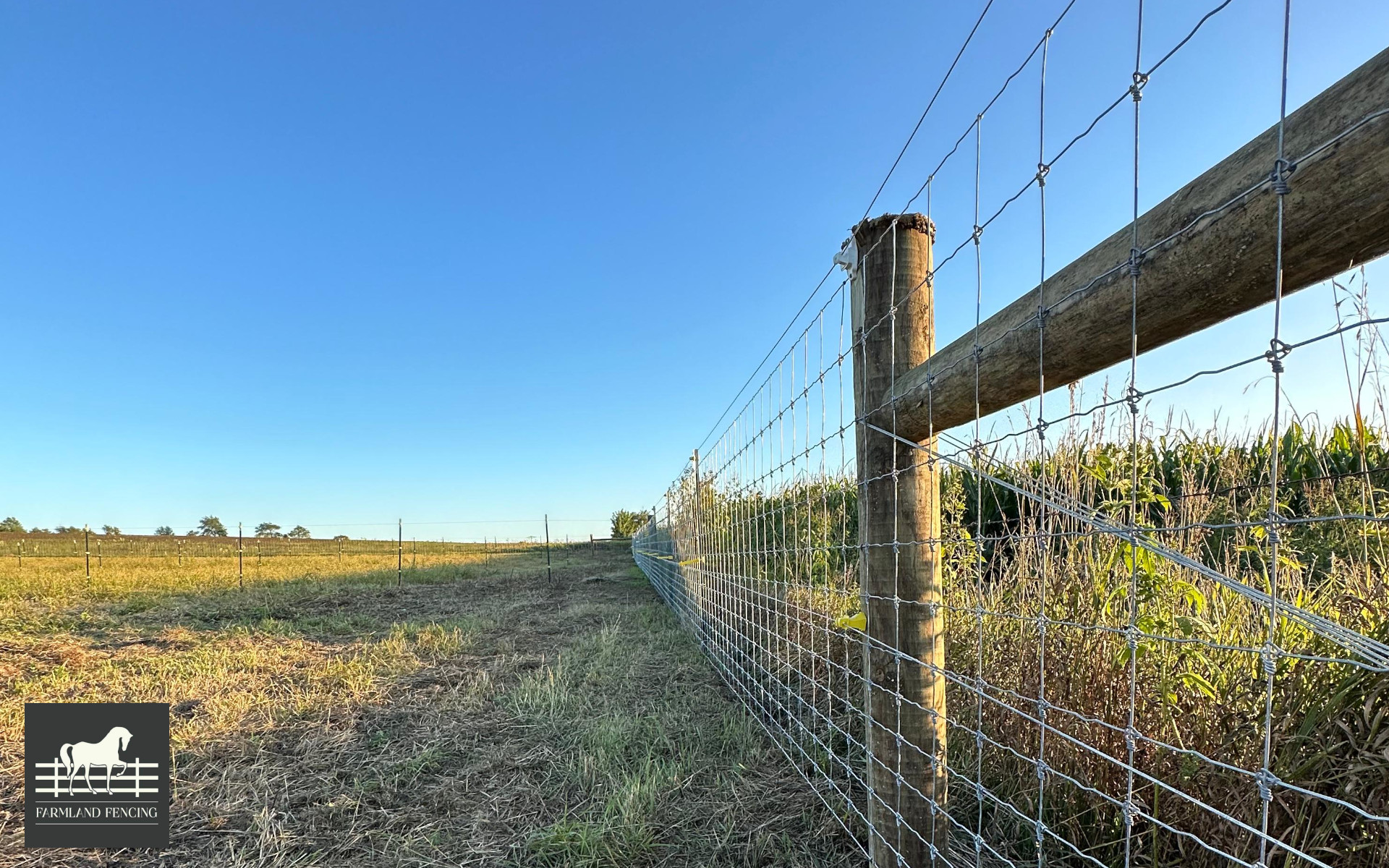 Cattle Fencing - Farmland Fencing LLC