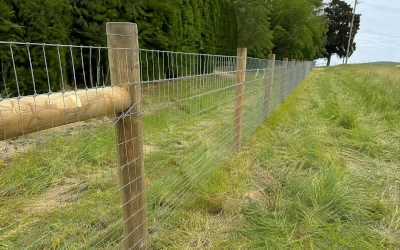 Agricultural fencing installed around productive farmland