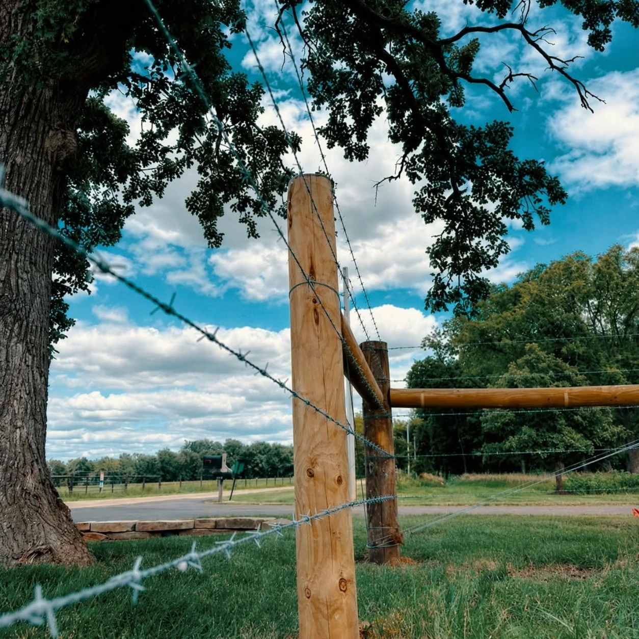 Barbed wire strands fastened to a wooden fence post