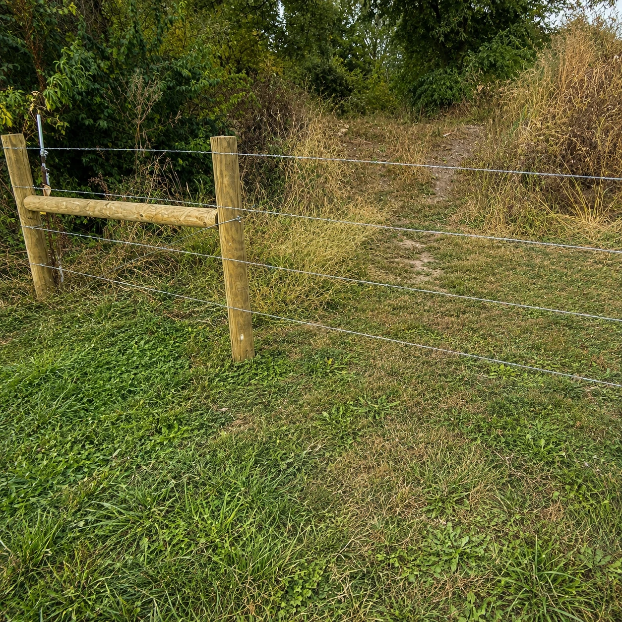 Barbed wire fencing installed along a cattle pasture boundary