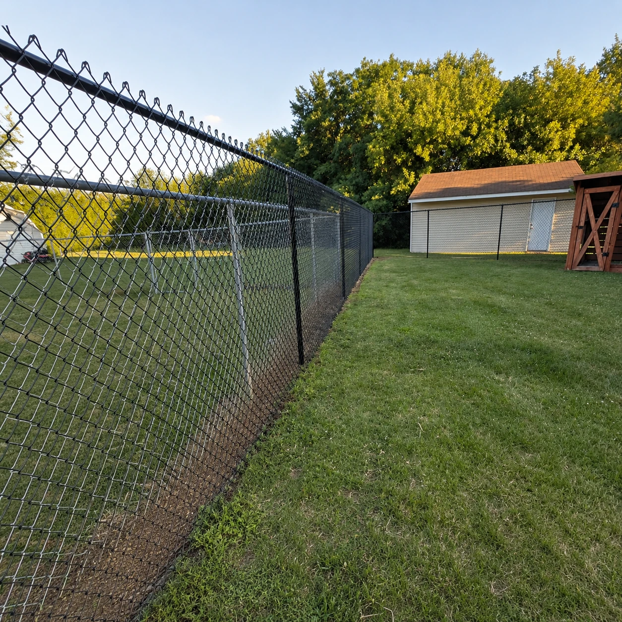 Chain-link dog fencing enclosing a residential backyard