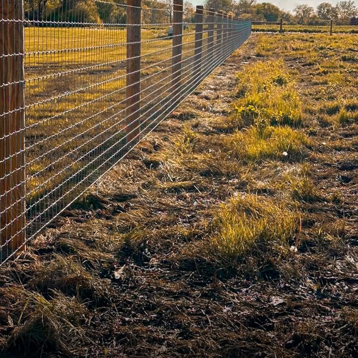 Woven-wire farm fencing installed along a Chicago-area property