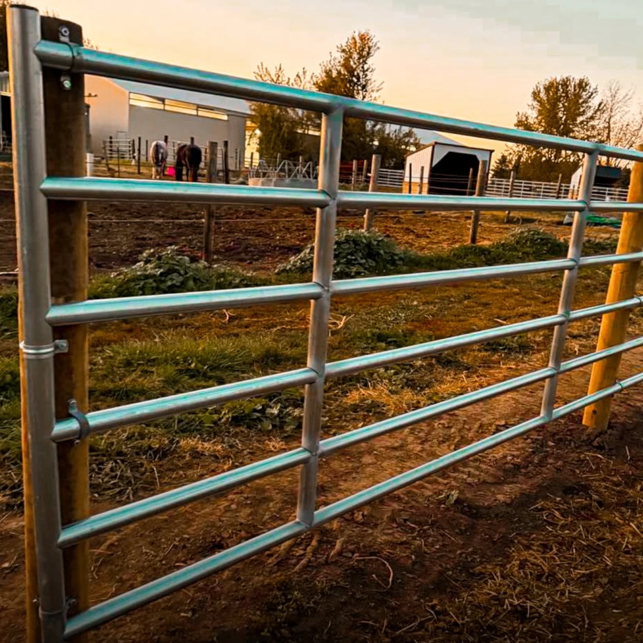 Metal farm gate installed at a livestock enclosure