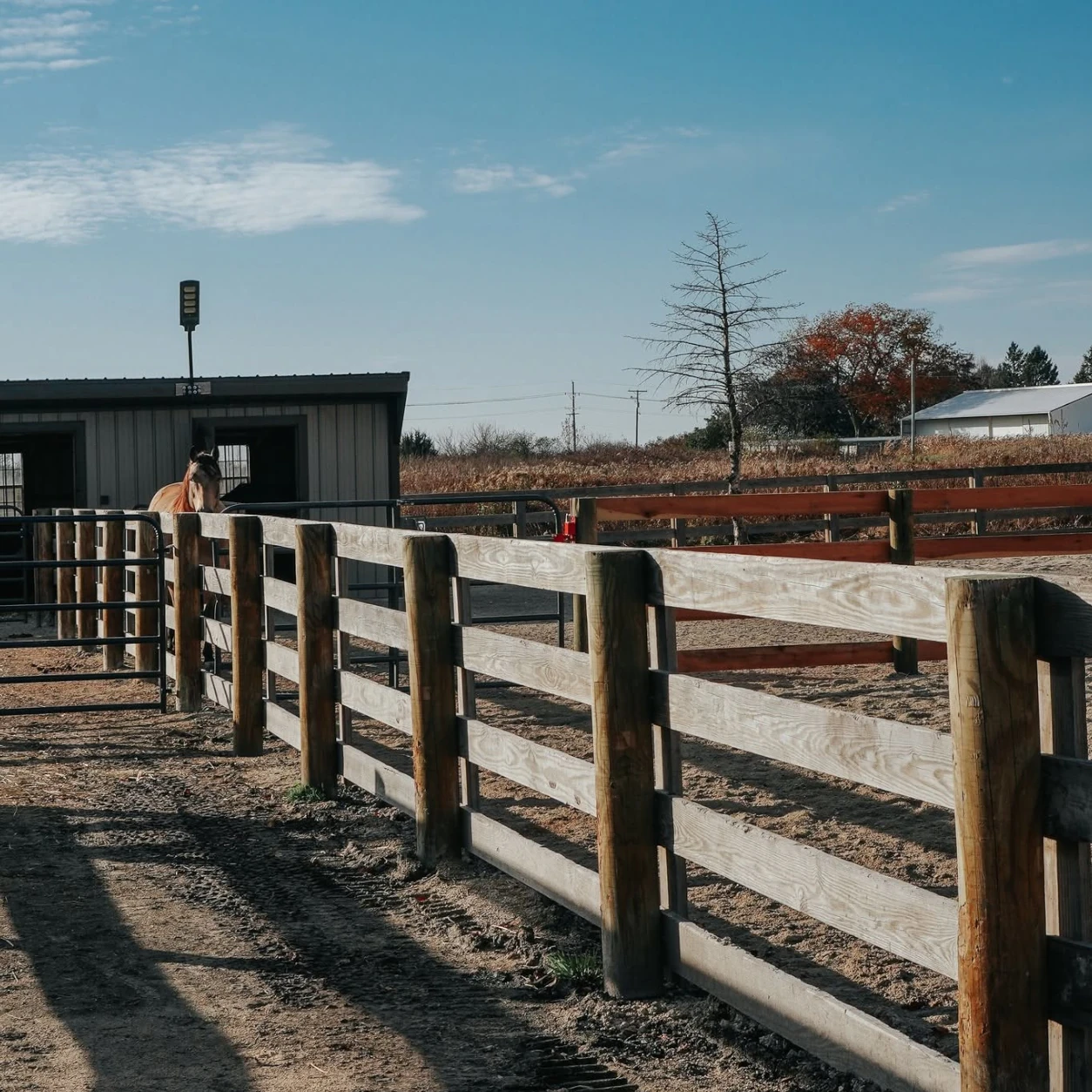 omplete board-fence horse corral with connected pens and gates