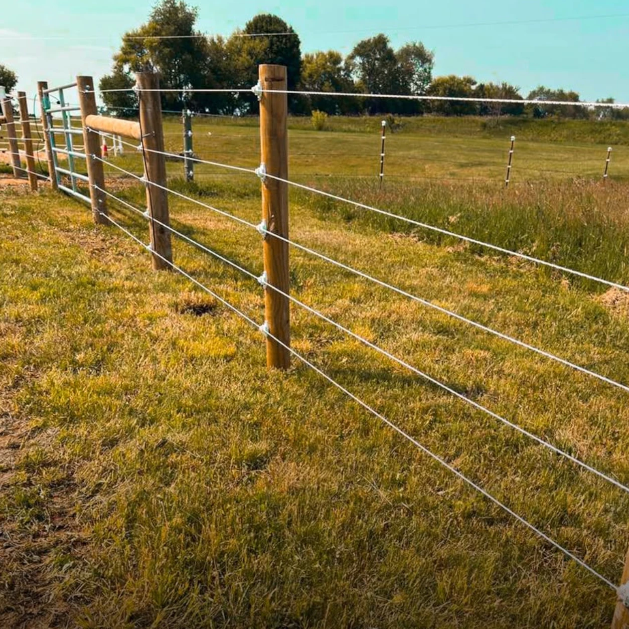 High-tensile pasture fencing installed around a grazing area